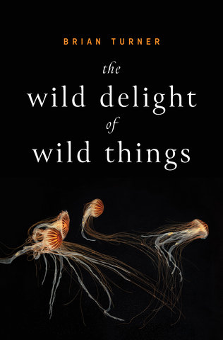 The Wild Delight of Wild Things