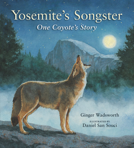 Yosemite's Songster