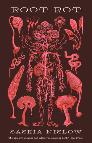 Root Rot