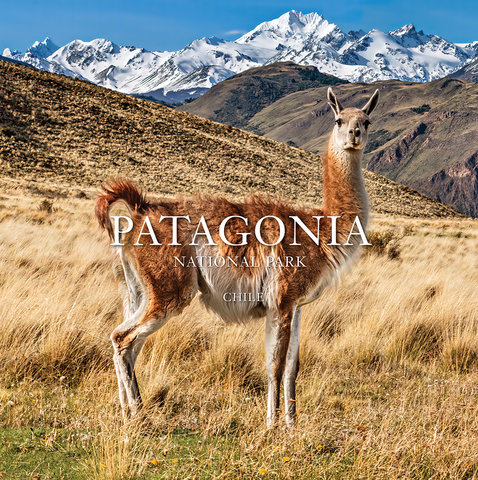 Patagonia National Park: Chile