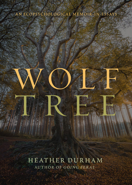 Wolf Tree