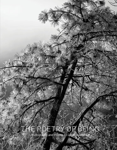 The Poetry of Being