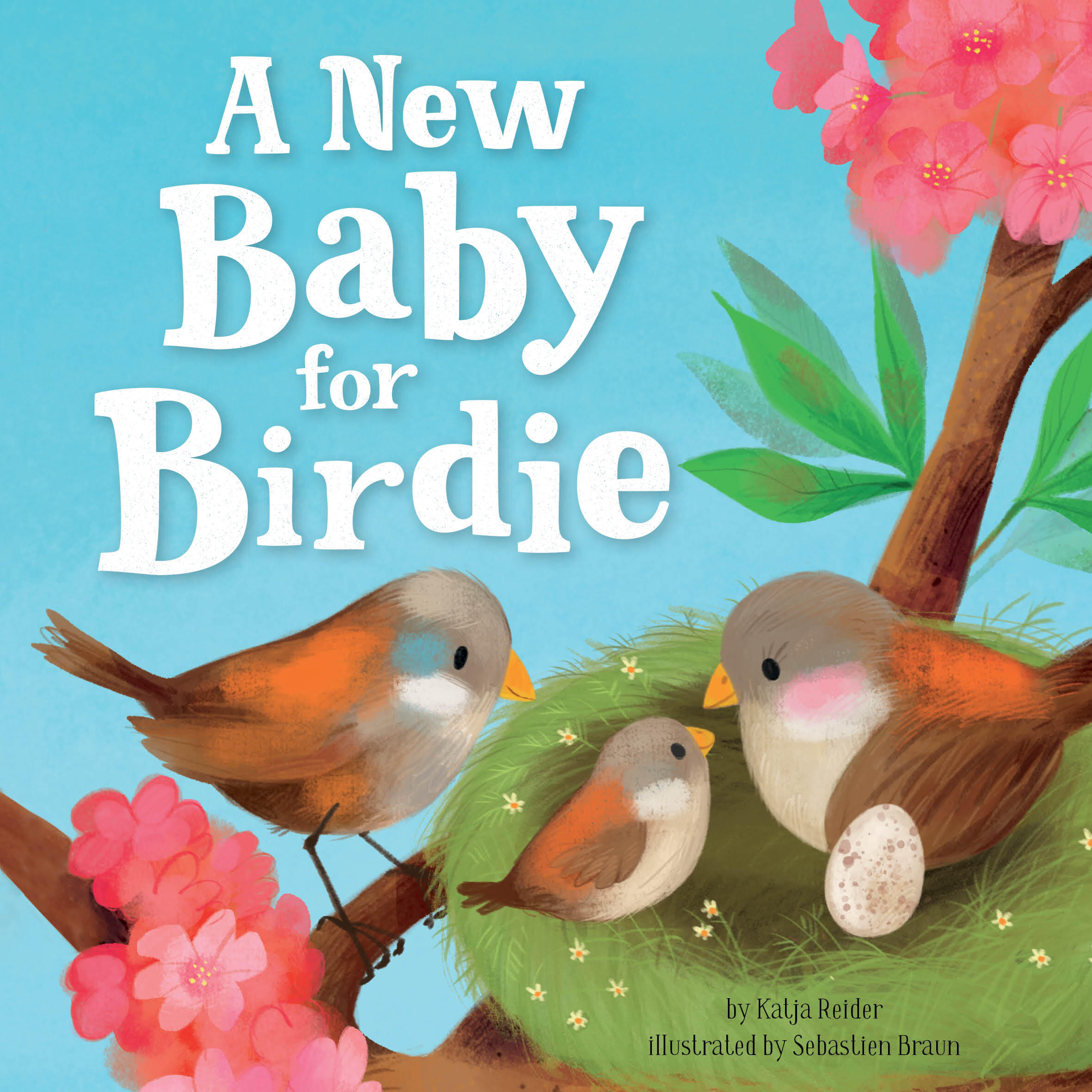 New Baby for Birdie, A
