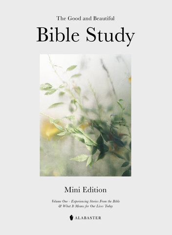 The Mini Good and Beautiful Bible Study
