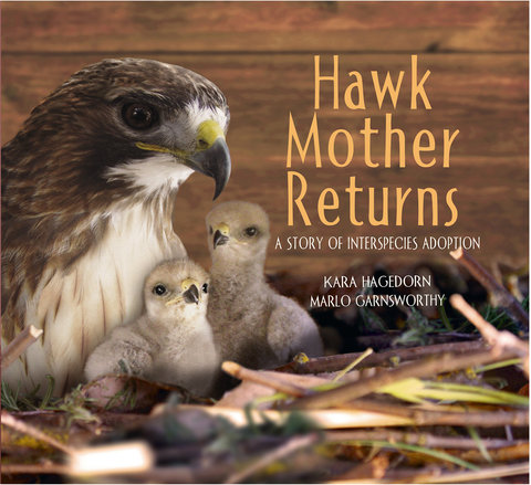 Hawk Mother Returns