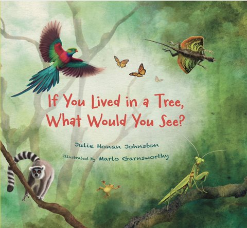 If You Lived in a Tree, What Would You See?