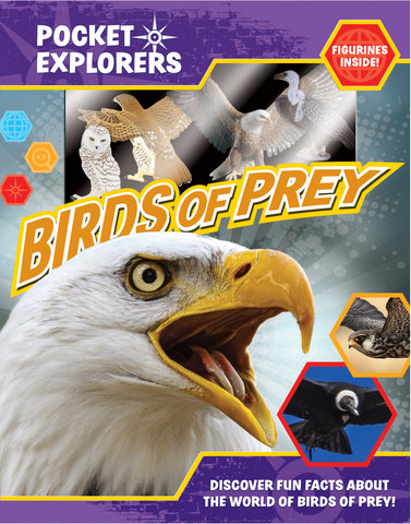 BIRDS OF PREY POCKET EXPLORERS