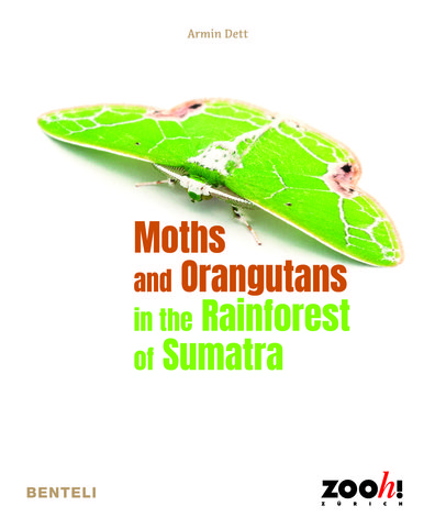 Moths and Orangutans in the Rainforest of Sumatra