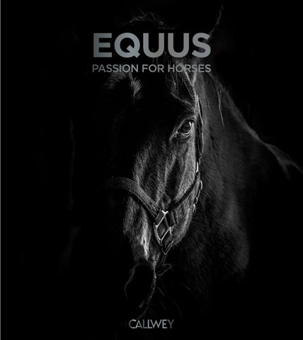 Equus