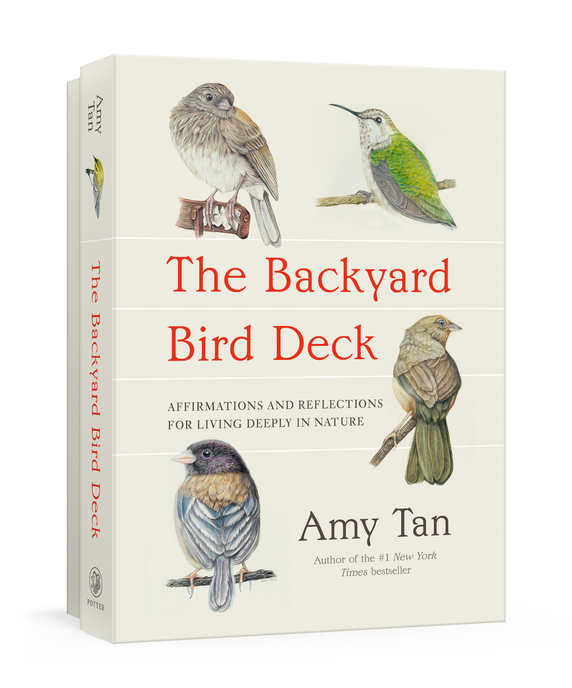 The Backyard Bird Deck