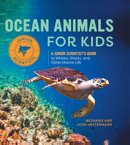 Ocean Animals for Kids