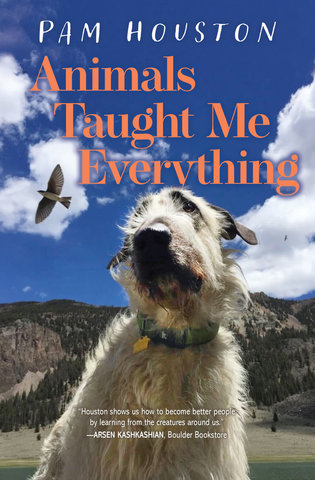 Animals Taught Me Everything