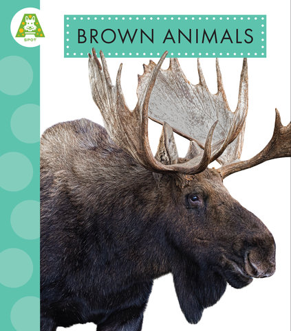 Brown Animals