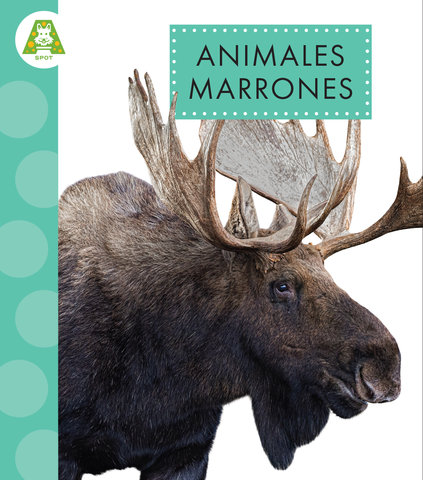 Animales marrones