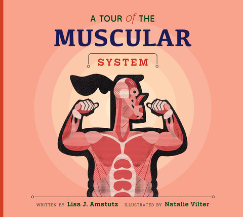 A Tour of the Muscular System