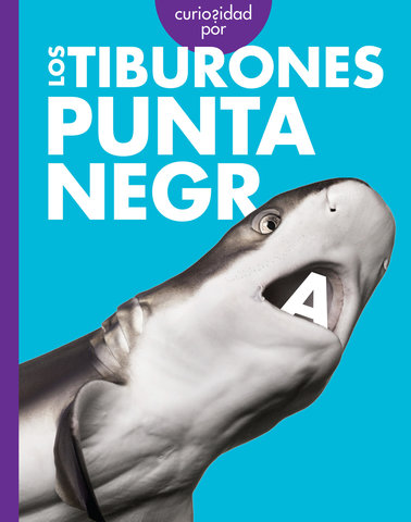 Curiosidad por los tiburones punta negra