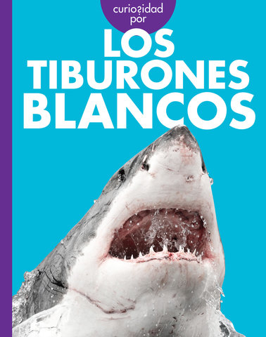 Curiosidad por los tiburones blancos