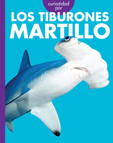 Curiosidad por los tiburones martillo