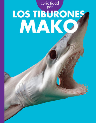 Curiosidad por los tiburones mako