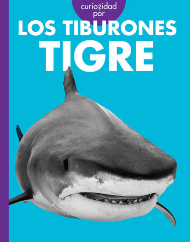 Curiosidad por los tiburones tigre