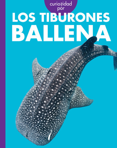 Curiosidad por los tiburones ballena