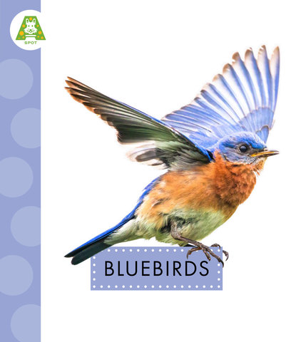Bluebirds