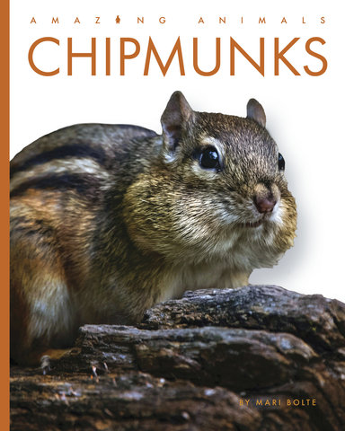 Chipmunks