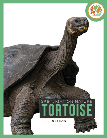 Tortoise