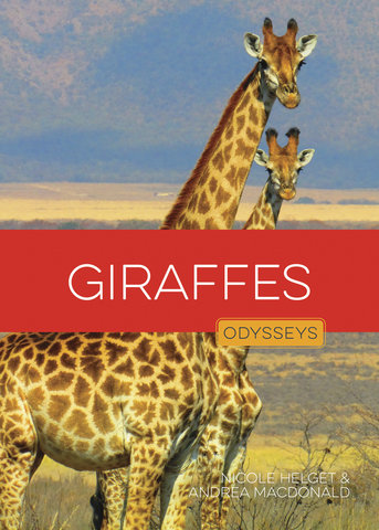 Giraffes