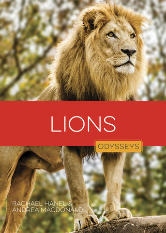 Lions
