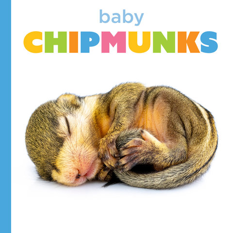 Baby Chipmunks