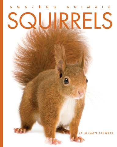 Squirrels