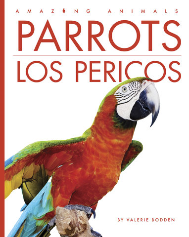 Parrots / Los pericos