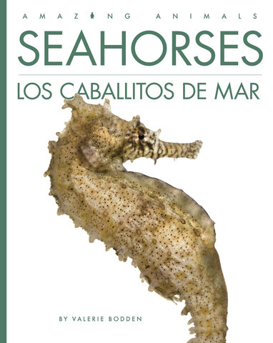 Seahorses / Los caballitos de mar