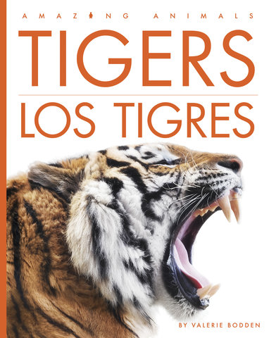 Tigers / Los tigres