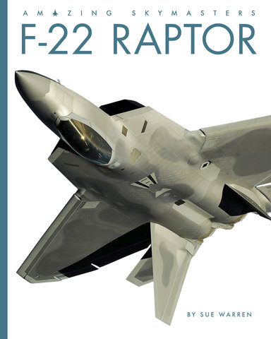 F-22 Raptor