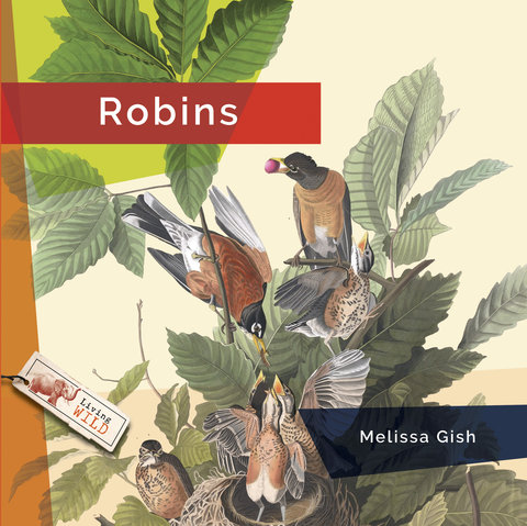 Robins