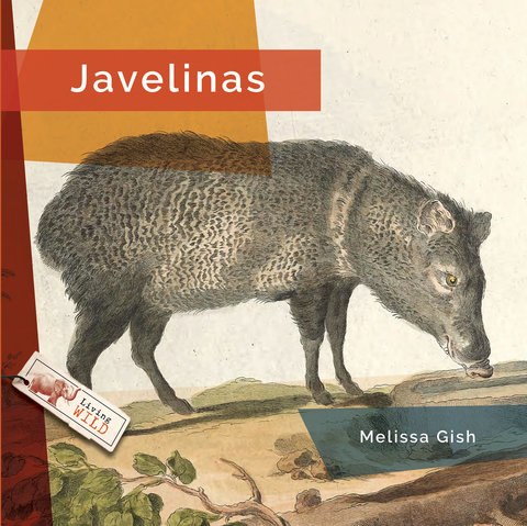 Javelinas