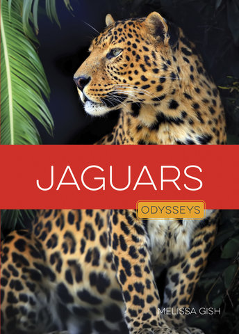 Jaguars