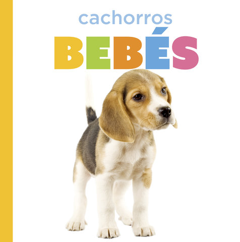 Cachorros bebés