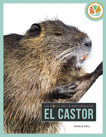 El castor
