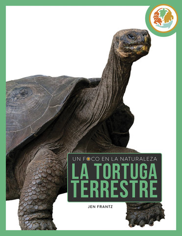 La tortuga terrestre