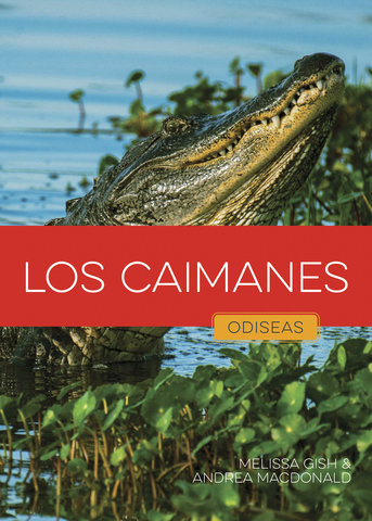 Los caimanes
