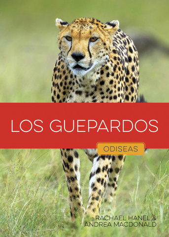 Los guepardos