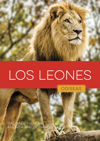 Los leones