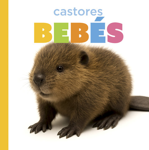 Castores bebés