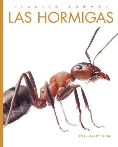 Las hormigas