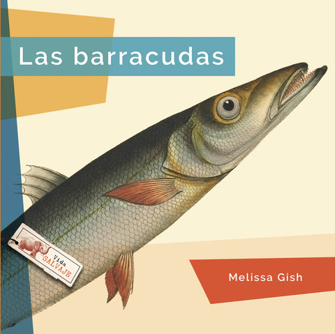 Las barracudas