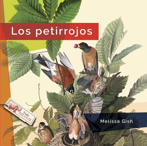 Los petirrojos