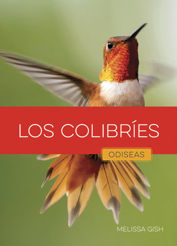 Los colibríes